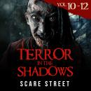 Short Horror Stories: Terror in the Shadows Volumes 10 - 12: Scary Ghosts, Paranormal & Supernatural Monsters Audiobook
