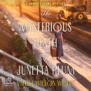 The Mysterious Death of Junetta Plum: A Harriet Stone Mystery Audiobook