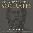 Conversations of Socrates Audiobook
