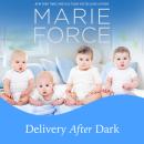 Delivery After Dark: A Gansett Island Novel Audiobook