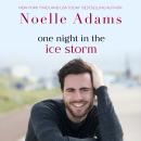 One Night in the Ice Storm Audiobook