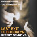 Last Exit to Brooklyn Audiobook
