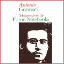 Selections from the Prison Notebooks of Antonio Gramsci Audiobook