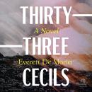 Thirty-Three Cecils: A Novel Audiobook