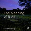 The Meaning of It All: Ultimate Meaning, Everyday Meaning, Cosmic Meaning, Death, and Time Audiobook