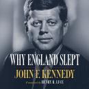 Why England Slept Audiobook