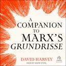 A Companion to Marx's Grundrisse Audiobook
