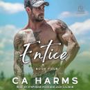 Entice Audiobook