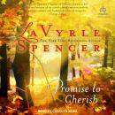 A Promise to Cherish Audiobook