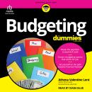 Budgeting For Dummies Audiobook
