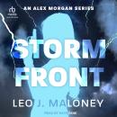 Storm Front Audiobook