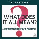 What Does It All Mean?: A Very Short Introduction to Philosophy Audiobook