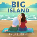 Big Island Audiobook