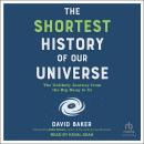 The Shortest History of Our Universe: The Unlikely Journey from the Big Bang to Us Audiobook