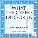 What the Greeks Did for Us Audiobook