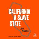 California, a Slave State Audiobook