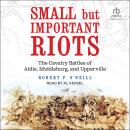 Small but Important Riots: The Cavalry Battles of Aldie, Middleburg, and Upperville Audiobook