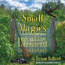 Small Magics: Practical Secrets from an Appalachian Village Witch Audiobook