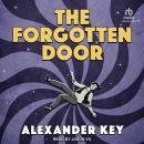 The Forgotten Door Audiobook