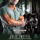 A New Prospect Audiobook