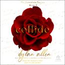Collide Audiobook