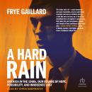 A Hard Rain: America in the 1960s, Our Decade of Hope, Possibility, and Innocence Lost Audiobook