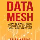 Data Mesh: What Is Data Mesh? Principles of Data Mesh Architecture Audiobook