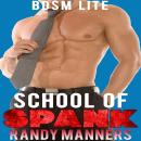 School of Spank: BDSM Lite Audiobook