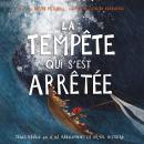 La tempête qui s'est arrêtée: Jésus révèle qui il est réellement : la vraie histoire Audiobook