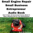 Small Engine Repair Small Business Entrepreneur Audio Book: How To Start, Get Government Grants, Mar Audiobook
