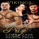 The Vikings' Prize Audiobook