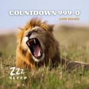 Countdown 999-0: Low Roars Audiobook