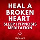 Heal a Broken Heart Sleep Hypnosis Meditation Audiobook