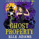 Ghost Property Audiobook