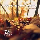 Countdown 999-0: Autumn Leaves Audiobook