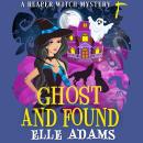 Ghost and Found Audiobook