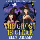 The Ghost is Clear Audiobook