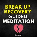 Break Up Recovery Guided Meditation Audiobook