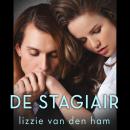 [Dutch] - De stagiair Audiobook