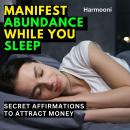 Manifest Abundance While You Sleep: Secret Affirmations to Attract Money Audiobook