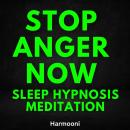 Stop Anger Now Sleep Hypnosis Meditation Audiobook