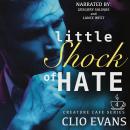 Little Shock of Hate Audiobook