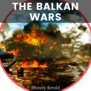 The Balkan Wars: A Comprehensive Overview - Examining the Milestones and Turning Points of the Regio Audiobook
