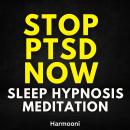 Stop PTSD Now Sleep Hypnosis Meditation Audiobook