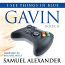 Gavin Audiobook
