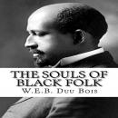 The Souls Of Black Folk Audiobook