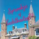 [Dutch] - Sprookje of luchtkasteel? Audiobook