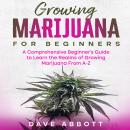 Growing Marijuana For Beginners: A Comprehensive Beginner’s Guide to Learn the Realms of Growing Mar Audiobook