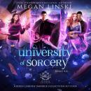 University of Sorcery, Books 4-6 Audiobook