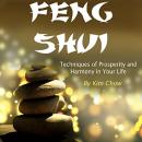 Feng Shui: Techniques of Prosperity and Harmony in Your Life Audiobook
